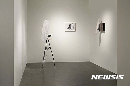 【서울=뉴시스】나점수_식물적 사유 deliberation originated from the plants__설치전경_2017