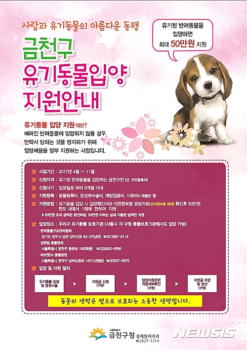 금천구, 유기동물 입양자에 최대 50만원 지급