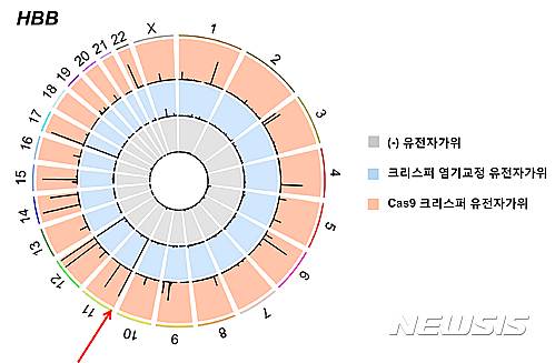 【대전=뉴시스】크리스퍼 유전자가위(붉은색 영역)와 크리스퍼 염기교정 유전자가위(파란색 영역)의 표적위치와 비표적위치를 비교한 결과, 유전자가위의 비표적 위치 후보를 나타내는 검은색 막대가 크리스퍼 유전자가위에서 염기교정 유전자가위보다 높게 표시된 곳이 더 많이 나타났다. 이는 염기교정 유전자가위가 표적위치에서 더 잘 작용해, 정확성이 더 높다는 것을 의미한다. (사진=IBS 제공)&nbsp; 