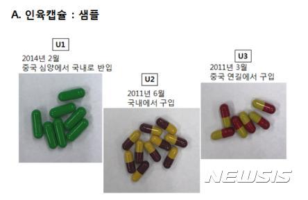 중국산 만병통치약으로 둔갑한 인육캡슐 샘풀<사진 = 대검찰청 제공>