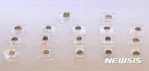 【서울=뉴시스】전신 기자 = 17일 서울 중구 프레스센터에서 열린 증도가자(고려금속활자) 보물 지정 신청에 대한 문화재청 부결 결정 반박 기자회견에서 증도가자 실물을 공개하고 있다. 2017.04.17.&nbsp;&nbsp; photo1006@newsis.com