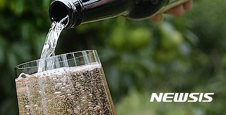 '올해는 스튜핏! 올~해는 그레잇!'…송년회 건배사 열전