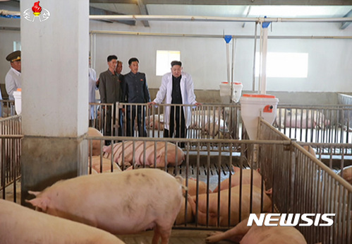 【서울=뉴시스】김정은 북한 국무위원장이 지난 2017년 4월 인민군 항공 및 반항공군 돼지공장을 시찰하는 모습. 2017.04.23. (사진=조선중앙TV 캡쳐) photo@newsis.com
