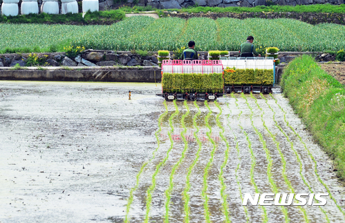 농식품부 "3월 잦은 봄비에 모내기철 물 부족 없을 듯"