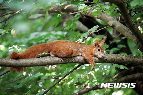 【서울=뉴시스】원추의 ‘오늘의 운세’ 2017년 5월1일 월요일 (음력 4월6일 무자, 근로자의 날)&nbsp; ▶쥐띠= 지금은 답답해도 후일 크게 이뤄져 많은 힘을 얻을 듯. 3, 7, 9, 11월생 매매건은 서둘지 마라. 토지, 금속, 제지업은 승산이 없다. ㅁ, ㅈ, ㅎ성씨 받아놓은 밥상도 먹지 못하는 격. 소, 양띠의 도움이 있어야겠다. 언론계 종사자 구설 조심.&nbsp; ▶소띠= ㄴ, ㅇ, ㅈ, ㅍ성씨 업종을 변경한다고 잘된다는 법은 없지만 방향을 운명에 맞춘다면 긍정적일 듯. 이제까지 해오던 일 매매하고 다른 것을 새롭게 시작하는 운이다. 4, 8, 12월생 선택의 자유는 있지만 지하에서 하는 것은 하지 말 것.&nbsp; ▶범띠= 2, 5, 8월생 하나 둘 청산해도 해결이 안 되는 격. 물 새는 독을 막을 수 있는 방법은 진실과 지혜 그리고 인내뿐이다. 1, 4, 7, 11월생의 도움으로 순간을 넘길 수는 있어도 길게는 힘들겠다. ㄱ, ㅂ, ㅊ, ㅎ성씨 변동수 있고 북, 서쪽이 길하다.&nbsp; ▶토끼띠= 안 되는 일 남을 탓하거나 구실을 만들지 마라. 3, 5, 7, 10월생은 부모에게 물려받은 생업이어도 전업을 하든지 새로 개선해 봄이 어떨지. ㅇ, ㅈ, ㅊ성씨 2, 4, 12월생은 남보다 한 발 더 넓게 뛰는 것이 좋겠다. 오늘 투자는 길.&nbsp; ▶용띠= 1, 2, 7월생 남의 말에 의해 풍선처럼 마음이 부풀어 이 궁리 저 궁리 고심하고 있는 격. ㄱ, ㄹ, ㅅ, ㅈ성씨 동, 북쪽에 있는 사람으로부터 도움 받겠다. 말, 토끼, 닭띠를 존경하면 큰것을 얻을 수. 지금 갖고 있는 것 버리지는 말 것.&nbsp; ▶뱀띠= 상대방을 얼마나 신뢰하느냐를 전하는 것이 급선무이다. 2, 5, 7, 9월생 ㅂ, ㅇ, ㅈ성씨 현재에 만족할 것. 재물은 노력만 하면 얻을 수 있으나 애정은 노력으로는 힘들겠다. ㄱ, ㅅ, ㅎ성씨는 자녀에게 관심을 기울여야 할 때.&nbsp; ▶말띠= 자연의 원리는 사람을 편안하게 한다. 자연을 파괴하는 것은 곧 자신을 망가트리는 격이다. 오늘은 무애무덕의 날이다. 2, 5, 12월생 무서워서 지키지 말고 순리에 따라 질서에 순응할 것. ㅇ, ㅈ, ㅍ성씨 오후 늦게 애정의 난이 있겠다.&nbsp; ▶양띠= 한 보 양보하면 웃음으로 매듭이 풀리겠다. 1, 3, 8월생 한 길을 정했으면 좀 힘이 들어도 그 길로만 갈 것. 이정표는 있는데 방황의 길에서 헤매는 격. ㅂ, ㅇ, ㅊ성씨 소, 범, 개띠와 시비가 일 수 있다. 2, 4, 6월생 검정색 옷은 피로를 부르니 피할 것.&nbsp; ▶원숭이띠= 이별의 아픔도 잠시뿐 재회의 기쁨이 기다리고 있다. ㄱ, ㅂ, ㅈ, ㅎ성씨 나이 차이는 있어도 만나는 기쁨과 포근함에 마음을 내주는 격. 1, 5, 7, 10월생 금전을 앞세우는 자와는 인연을 맺지 말 것. 건설, 의류업 종사자에게는 길한 날.&nbsp; ▶닭띠= 감정대로 처리하지 말 것. 하고 싶은 말 다 하다가 미움만 사게 될 듯. 1, 3, 4월생 별 뜻 없이 한말이 화근이 되어 눈물 흘릴 수 있겠다. 애정적으로 힘들어지니 마음에 담지 말고 진실을 털어 놓으면 좋겠다. ㄱ, ㅅ, ㅇ성씨와 의견충돌 피할 것.&nbsp; ▶개띠= 내 일이 아니면 서둘지 마라. 마음씨 고운 것은 세상이 다 알고 있으나 눈물과 감정이 많아 불이익을 받을 때도 있다. 2, 7, 11월생 남의 짐까지 짊어지고 땀 흘리게 될 듯. ㅁ, ㅅ, ㅈ, ㅎ성씨는 자식 덕에서 앞길이 트이니 좌절은 금물. 동쪽이 행운.&nbsp; ▶돼지띠= 자주 가는 길도 이 길이 아니다 싶으면 뒤돌아 설 수 있는 결단이 필요한 때. ㄱ, ㅂ, ㅇ성씨는 집안에 우환이 끊이지 않는 수다. 4, 5, 11월생 생업에는 지장이 없으니 변동은 하지 말 것. 봉급자는 상사로부터 칭찬 받을 일 있겠다. 노란색 행운.&nbsp; 구삼원 원장 02-959-8493, 010-5584-9393&nbsp;&nbsp; 