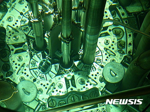 【대전=뉴시스】핵연료 성능을 검증하기 위해 미국 아이다호국립연구소의 연구로(ATR)에 장전된 우라늄 몰리브덴(U-Mo) 판형 핵연료집합체. (사진=한국원자력연구원 제공)