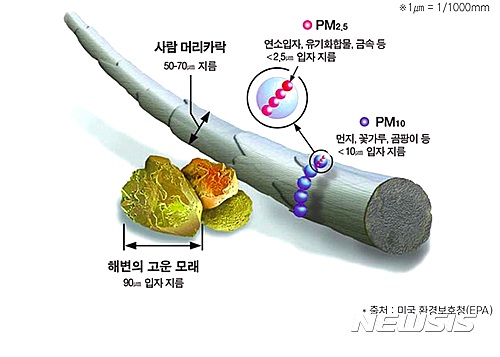 미세먼지 크기 비교