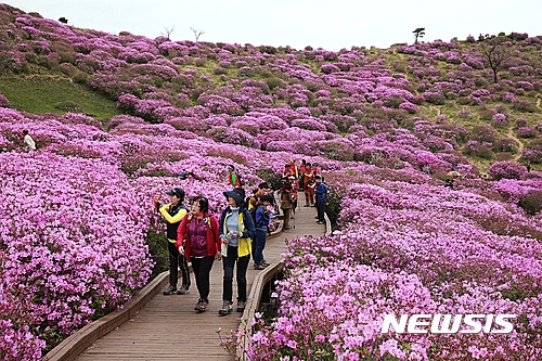 【합천=뉴시스】김기진 기자 = 26일 제21회 황매산철쭉제가 열리는 경남 합천 황매산을 찾은 관광객들의 모습. 황매산철쭉제는 30일부터 5월14일까지 열린다. 2017.04.27. (사진=합천군 제공)   photo@newsis.com 