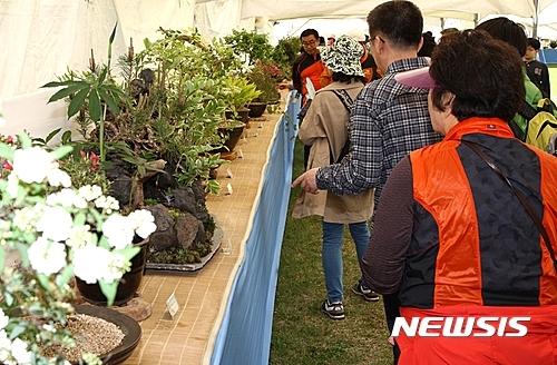 【보은=뉴시스】이성기 기자 = 충북 보은 속리산 주변에서 자생하는 야생화를 한자리에서 볼 수 있는 '2017년 속리산들꽃사랑회 야생화 전시회'가 5월 3일부터 7일까지 속리산 잔디광장에서 열린다. 사진은 지난해 행사 때 관람객이 전시된 야생화를 둘러보는 모습이다.2017.04.28(사진=보은군 제공)   sklee@newsis.com 