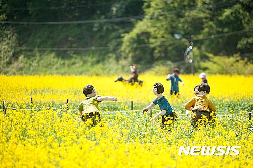  【태백=뉴시스】 김태식 기자 = 강원 태백산 유채꽃축제위원회는 오는 6월2일부터 6일까지 개최되는 유채꽃 축제 참가자를 모집한다고 28일 밝혔다. 사진은 지난해 축제때 유채꽃 모습. 2017.04.28(사진=태백시청 제공)   photo@newsis.com 