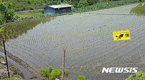  【단양=뉴시스】&nbsp;&nbsp; 전기 울타리. (사진=뉴시스 DB)