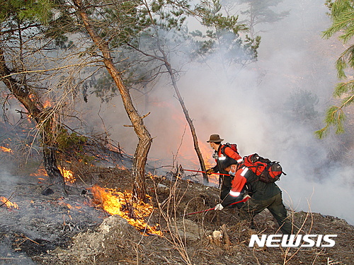 특수진화대 산불진화 장면. (사진=뉴시스DB)
