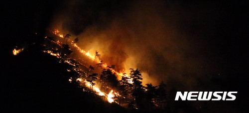 【강릉=뉴시스】김경목 기자 = 8일 강원 강릉시 성산면 어흘리 대관령 길목의 백두대간 야산에서 전날 꺼졌던 산불이 초속 20m 이상의 강한 바람을 타고 재발해 크게 번지고 있다. 2017.05.07. photo31@newsis.com