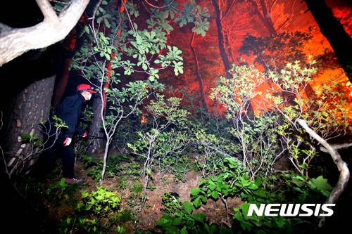 【강릉=뉴시스】김경목 기자 = 8일 새벽 강원 강릉시청 공무원들이 강릉시 성산면 어흘리 대관령 길목의 백두대간 야산에서 전날 꺼졌던 산불이 초속 20m 이상의 강한 바람을 타고 재발해 번지자 방어선을 구축하고 있다. 2017.05.07. photo31@newsis.com