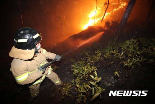 【강릉=뉴시스】김경목 기자 = 8일 새벽 강원 강릉소방서 소방관이 강릉시 성산면 어흘리 대관령 길목의 백두대간 야산에서 전날 꺼졌던 산불이 초속 20m 이상의 강한 바람을 타고 재발해 번지자 방어선을 구축하고 있다. 2017.05.07. photo31@newsis.com