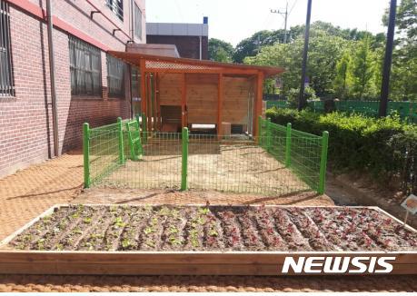 '반가워 토끼야' 서울시, 학교 내 동물농장 시범사업