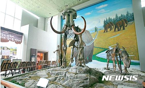  【단양=뉴시스】강신욱 기자 = 충북 단양군 적성면 애곡리 사적 398호 '단양 수양개유적'의 유네스코 세계문화유산 등재를 위해 민간단체가 힘을 보태기로 했다. 11일 수양개선사유물전시관에서는 단양군민 80여 명으로 구성된 수양개보존회가 창립했다. 사진은 수양개선사유물전시관의 맘모스 화석. 2017.05.11. (사진=단양군 제공)&nbsp; photo@newsis.com 