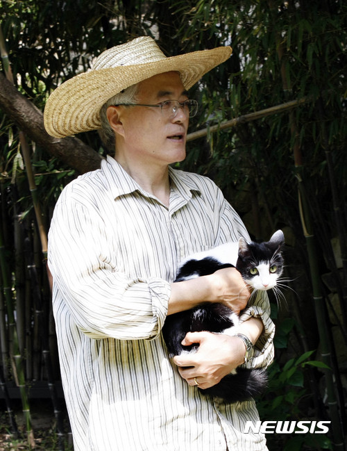 【서울=뉴시스】문재인 대통령이 양산 자택에서 기르던 반려묘 ‘찡찡이’가 14일 청와대로 들어오면서 한국 최초의 ‘퍼스트 캣’(First Cat)이 됐다. 앞서 찡찡이는 2012년 대선 당시 ‘나의 문화유산 답사기’ 저자 유홍준 전 문화재청장의 발언으로 유명해 진 바 있다. 한편 문 대통령은 유기견 ‘토리’를 입양하는 절차도 진행 중이다. 사진은 문재인 대통령이 찡찡이를 안고 있다. 2017.05.14. (사진=청와대 제공) photo@newsis.com