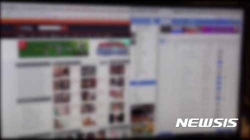 【수원=뉴시스】김지호 기자 = 미국에 서버를 둔 음란 사이트 'AVSNOOP.club'의 모습. (사진=경기남부지방경찰청 제공) photo@newsis.com