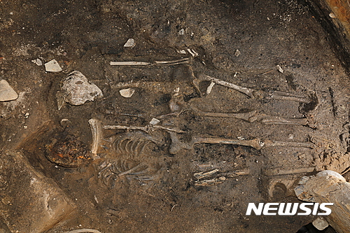 【경주=뉴시스】A지구 성벽 인골 출토 