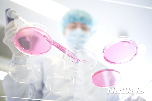 치매치료제 전세계 4개뿐...국내 업체들 개발 활발