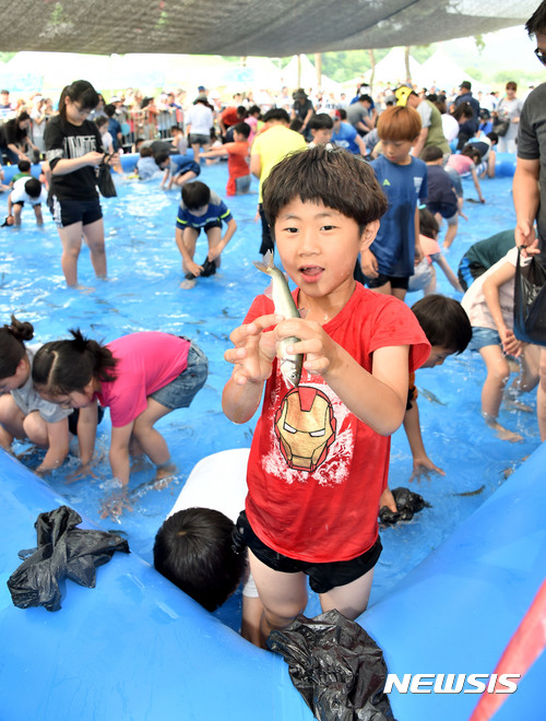 제59회 밀양아리랑 대축제 기간 중 삼문동 밀양강변에서 은어 맨손잡기 체험행사가 열리고 있다. (뉴시스 DB 2017.05.21)