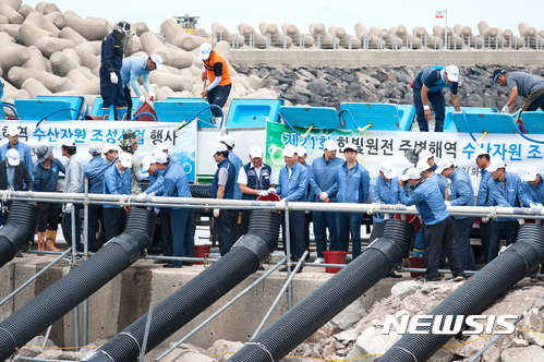 【영광=뉴시스】이창우 기자 = 23일 한국수력원자력㈜ 한빛원자력본부 임직원들이 연안 어족자원 조성에 기여하기 위해 발전소 온배수로 키운 강성돔 치어 7만 마리를 전남 영광군 계마항 인근 해역에 방류하고 있다. 2017.05.23 (사진=한빛원전 제공)&nbsp; lcw@newsis.com 