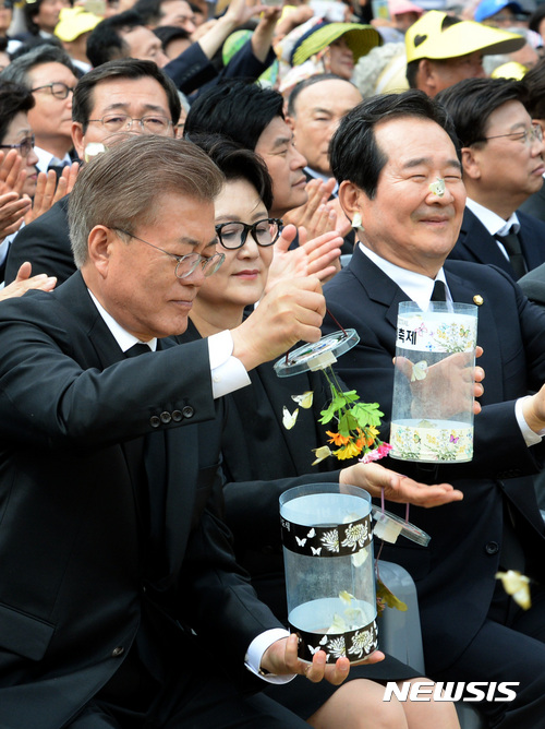 【김해=뉴시스】전진환 기자 = 문재인 대통령이 23일 오후 경남 김해시 진영읍 봉하마을에서 열린 노무현 대통령 서거 8주기 추도식에 참석해 1004마리의 나비를 날리고 있다. 2017.05.23. amin2@newsis.com