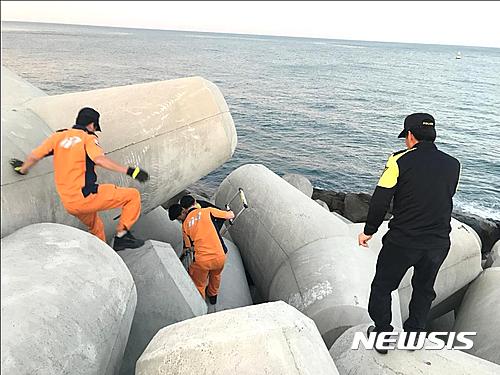 【부안=뉴시스】김종효 기자 = 25일 전북 부안해양경비안전서가 '연안사고 예방에 관한 법률'에 따라 격포항과 위도항, 구시포항(고창) 일원의 테트라포드(방파제 블록) 5개소를 출입통제장소로 정해 안전관리를 강화한다고 밝혔다.   일단 사고가 발생하면 구조대의 접근이 어려워 인명사고로 이어지기 쉬운 테트라포드에서 추락사고 구조작업이 펼쳐지는 모습이다. 2017.05.25. (사진 = 뉴시스 DB)    photo@newsis.com