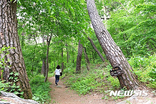 【원주=뉴시스】권순명 기자 = 28일 문화체육관광부와 한국관광공사는 6월에 걷기 좋은 걷기여행길 10곳을 선정했다고 밝혔다. 사진은 한국관광공사에서 선정한 충남 공주시 마곡사 솔바람길 1코스 백범길 이다. 2017.05.28.(사진=한국관광공사 제공)&nbsp;&nbsp;&nbsp; photo@newsis.com 