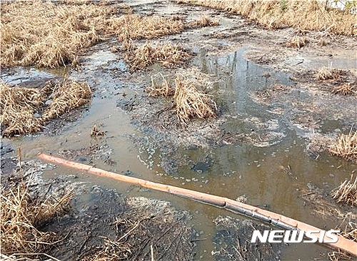 【하남=뉴시스】문영일 기자 = 한강유역환경청은 봄철 팔당호의 수온 상승으로 녹조 발생 가능성이 높아짐에 따라 팔당호 상류지역 가축분뇨 배출시설 등에 대한 특별점검을 실시했다고 30일 밝혔다. 사진은 경기 이천시 소재 A농장에서 자동센서 수중모터 작동으로 인근 농지로 가축분뇨를 무단 배출하는 모습. 2017.05.30. (한강청 제공)&nbsp; photo@newsis.com