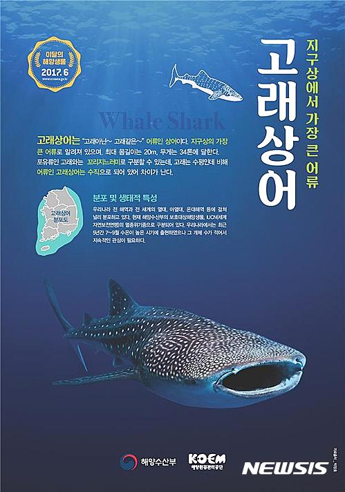 【서울=뉴시스】