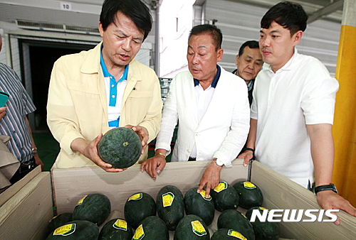 【부안=뉴시스】김종효 기자 = 31일 전북 부안군은 부안마케팅영농조합이 80㏊ 면적의 계약재배를 통해 2760t의 블랙망고수박을 수확했다며 이를 이마트와 서울 가락동시장 등 온·오프라인을 통해 판매한다고 밝혔다. 출하현장을 방문한 김종규 부안군수(왼쪽)가 블랙망고수박의 품질상태를 살피고 있다. 2017.05.31. (사진 = 부안군 제공) photo@newsis.com