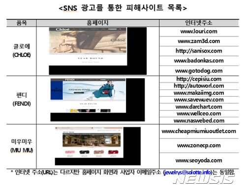 한국소비자원 "'SNS 광고 통한 해외 유명 브랜드 사칭 쇼핑몰 피해 주의"