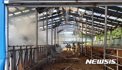 【강릉=뉴시스】김경목 기자 = 3일 오후 2시46분께 강원 강릉시 강동면 안인리 우사에서 용접 불티 추정 화재가 발생해 출동한 강릉소방서 소방관들이 불을 끄고 있다. 2017.06.03. (사진=강릉소방서 제공) photo@newsis.com