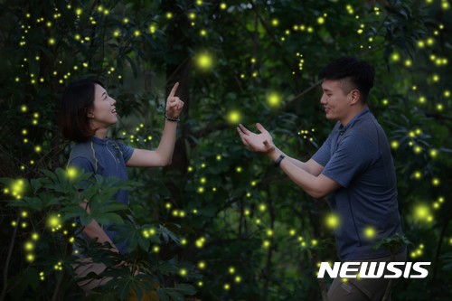 "도심 속 휴가족 잡아라"···호텔가 패키지 '경쟁'