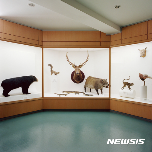 【서울=뉴시스】박현주 기자 = 윤정미, 초록색 바닥의 박제들, 2001, C-print, 100x100cm 