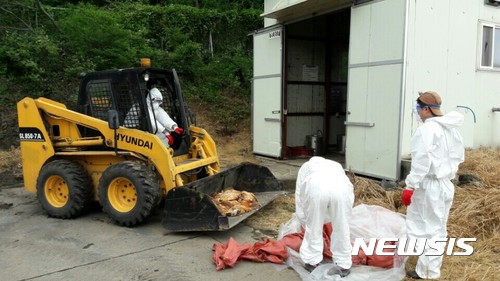 제주특별자치도 축산진흥원의 폐사축처리시설. 