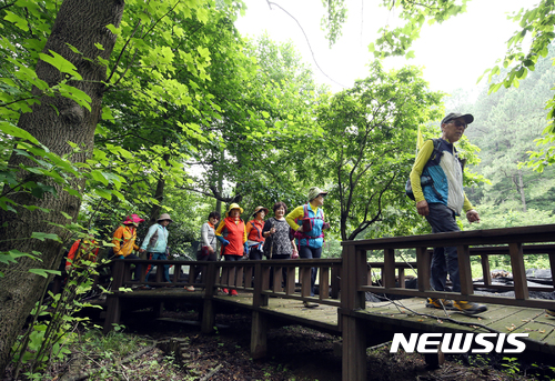 【강진=뉴시스】 전남 강진군 초당림 '숲속 힐링 체험' 모습. (사진=뉴시스 DB) mdhnews@newsis.com