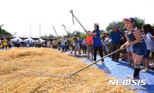 【서울=뉴시스】김선웅 기자 = 15일 오후 서울 서초구 양재천변 보리밭에서 어린이들이 보리수확 체험을 하고 있다. 2017.06.15. mangusta@newsis.com