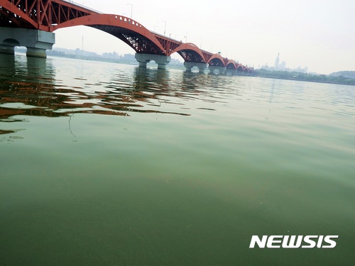 【서울=뉴시스】 <한강에서 올해 첫 녹조 발생>