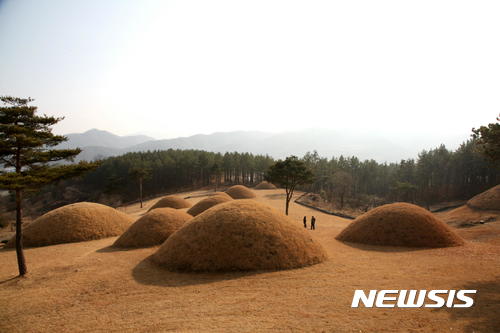 【합천=뉴시스】김기진 기자 =경남 합천군이 옥전 고분군(사적 제326호), 삼가 고분군(경상남도 기념물 제8호) 등 합천군을 대표하는 가야 유적물 발굴조사 및 복원 정비를 통해 문화관광 산업 육성계획을 수립하고 있다. 사진은 합천쌍책옥전고분군의 모습. 2017.06.20. (사진=합천군 제공) photo@newsis.com