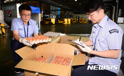 【인천공항=뉴시스】추상철 기자 = 21일 오전 인천공항 대한항공 화물터미널에서 농림축산검역본부 관계자가 수입된 태국산 계란 샘플을 검사하고 있다. 태국산 계란은 고병원성 조류인플루엔자(AI) 여파로 인한 계란 파동을 진정시키기 위해 정부가 수입했으며 시중에 판매되는 계란 200만여 개는 22일 선박편을 통해 부산항으로 들어온다. 2017.06.21.scchoo@newsis.com