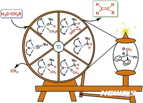 【대전=뉴시스】 IBS는 타이타늄 촉매 반응으로 올레핀(olefins)을 합성하는데 성공했다. 그림은 탄화수소 중 하나인 알케인(보라색 상자, H3C-CH2R)이 탄소-탄소 이중결합(C=C)의 올레핀(초록색 박스)을 만드는 과정을 물레에 비유한 모습. 물레 중앙의 타이타늄(Ti) 촉매가 탈수소반응을 통해, 올레핀 합성을 유도한다. (사진=IBS 제공) 