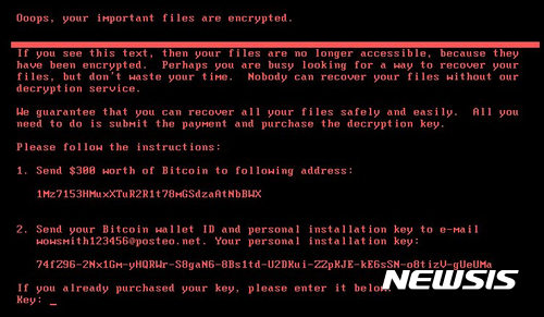 '페트야 랜섬웨어' 전세계 강타···국내 확산 우려