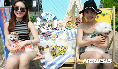 반려동물과 사는 법···고양이·개 책 서점에서 존재감