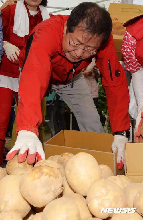 【남양주=뉴시스】배훈식 기자 = 3일 오전 경기도 남양주시 조안면 시우리 마을에서 홍준표 자유한국당 당 대표 후보자가 감자 포장 현장봉사를 하고 있다. 2017.07.03. dahora83@newsis.com