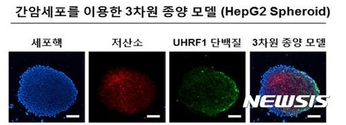 동남원자력의학원, 암세포의 활동성 관여 특정 단백질 발견&nbsp; 