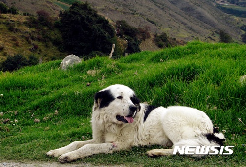 [원추 오늘의운세]개띠, 합격이오