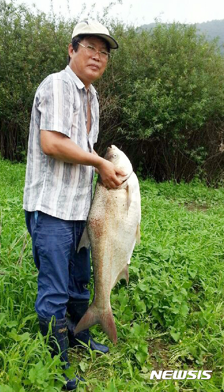 【청주=뉴시스】이병찬 기자 = 충북 옥천군 대청호에서 백연어로 추정되는 110㎝ 길이의 대형 물고기가 잡혀 화제다. 전순표(63)씨가 물고기를 들어보이고 있다.2017.07.07.(사진=전순표씨 제공) photo@newsis.com